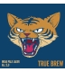 True Brew